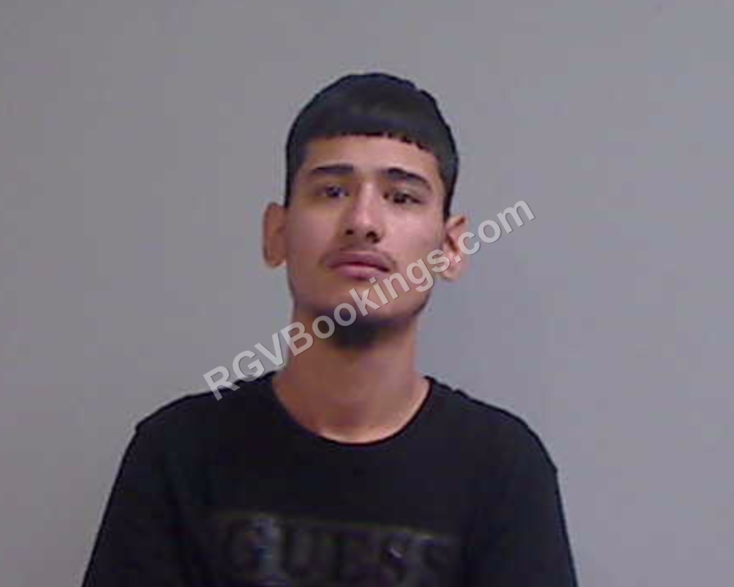 Ledezma, Aniel