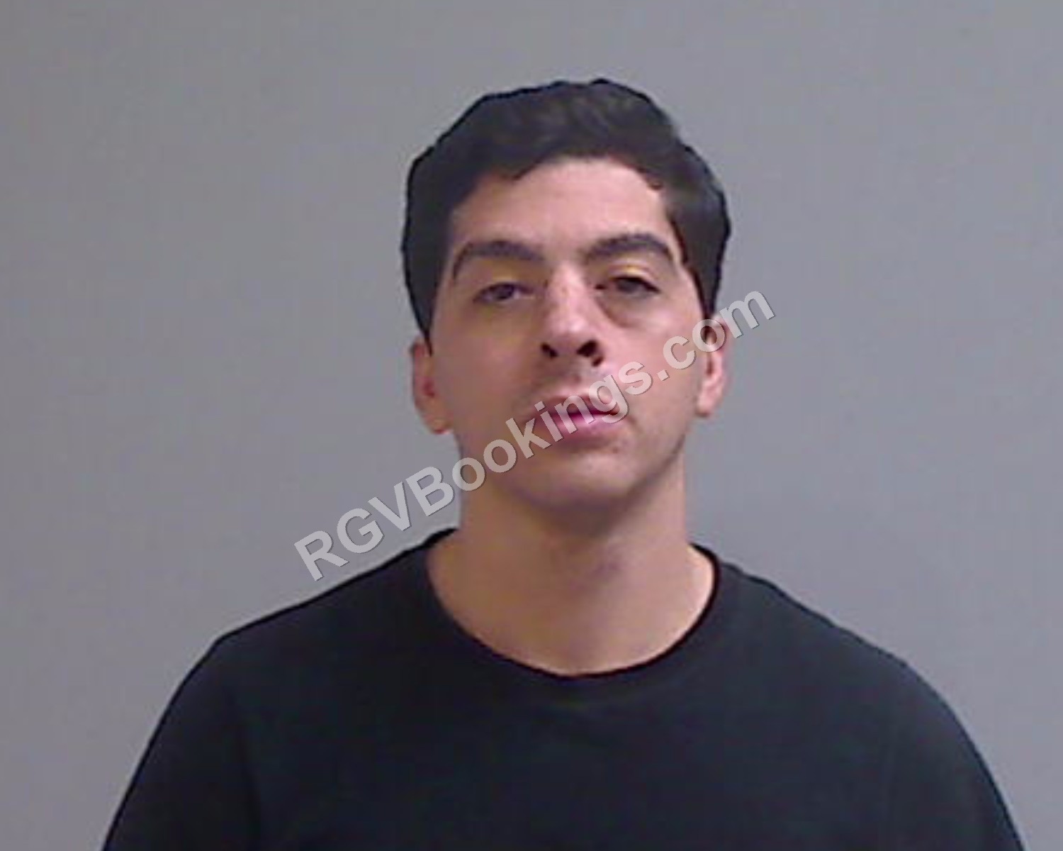 Stryker, Alek