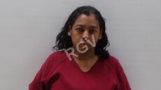 Ibarra, Picazo
