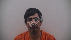 Salazar, Jinez