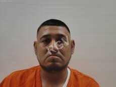 Silguero, Martinez