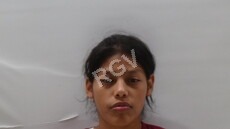Ibarra, Dinorah