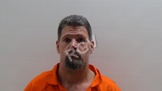 Gibson, Tracy