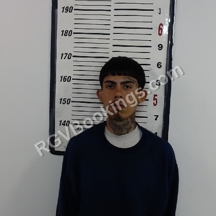 Leal-Turrubiates, Hector mugshot