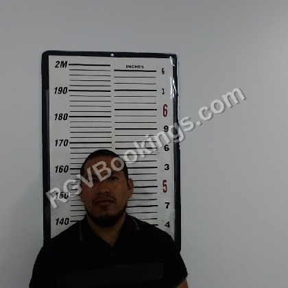 Romero Del Angel, Ricardo mugshot