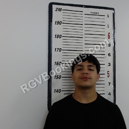 Alaniz, Leonardo mugshot